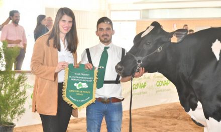 Araceli Cabello, delegada de agricultura de la Junta de Andalucía por Córdoba, presente en II Concurso de ganado frisón