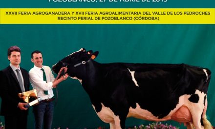 Ganadores de los concursos del blog del II Regional de Andalucía de Raza Frisona